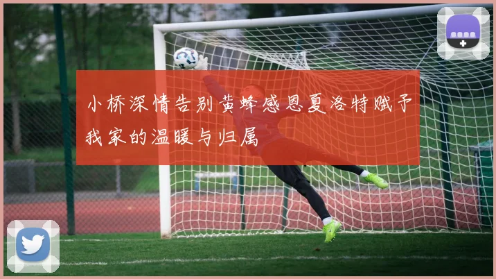 小桥深情告别黄蜂感恩夏洛特赋予我家的温暖与归属